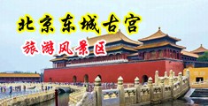 鬼父三级H片中国北京-东城古宫旅游风景区